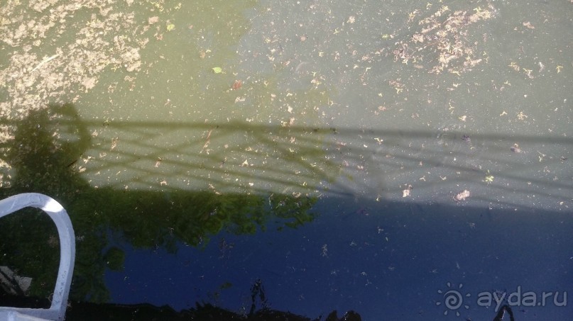 г. Умань. Парк 