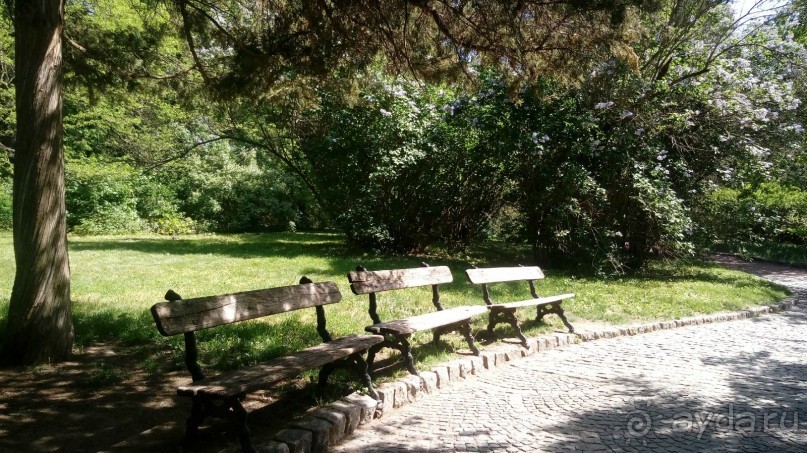 г. Умань. Парк 