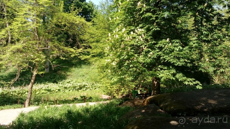 г. Умань. Парк 