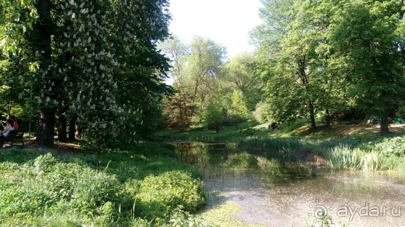 г. Умань. Парк 