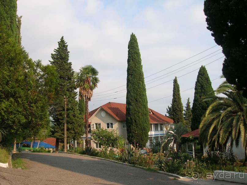 территория пансионата