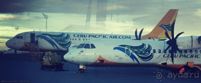 Как я плавал с акулой!