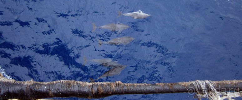 Барк Крузенштерн, покорение Атлантического океана