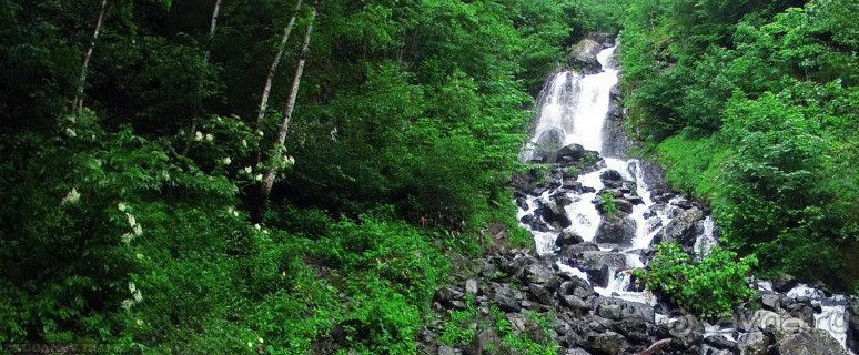 Гуляя по Абхазии. Озеро Рица