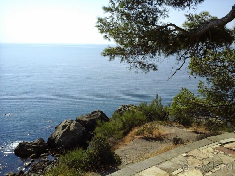 14 счастливых дней!)))))