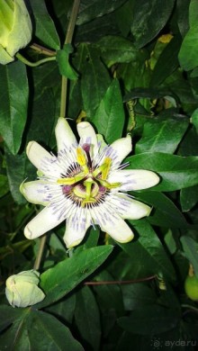 14 счастливых дней!)))))