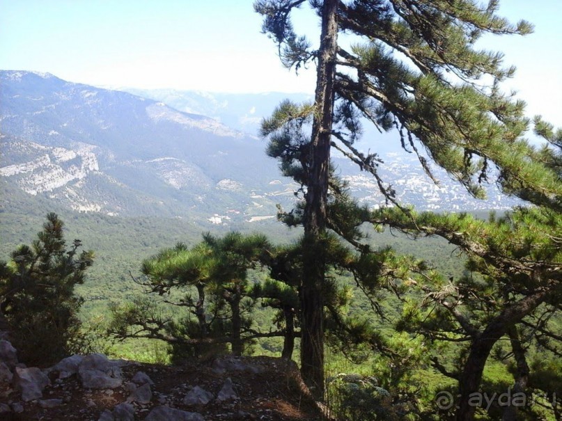 14 счастливых дней!)))))