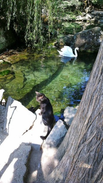 14 счастливых дней!)))))