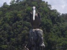  В первый раз в Доминикане