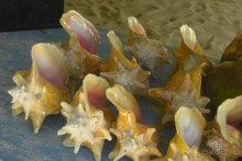  В первый раз в Доминикане