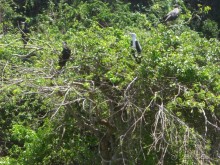  В первый раз в Доминикане