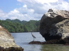  В первый раз в Доминикане
