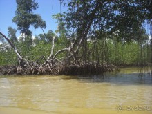  В первый раз в Доминикане
