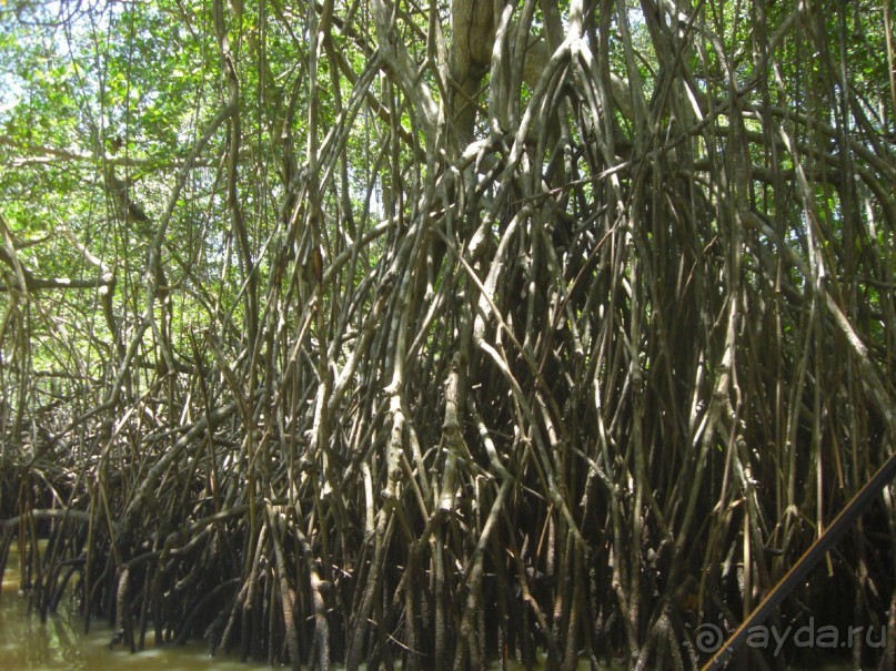  В первый раз в Доминикане