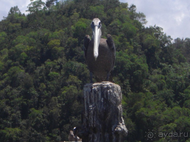  В первый раз в Доминикане