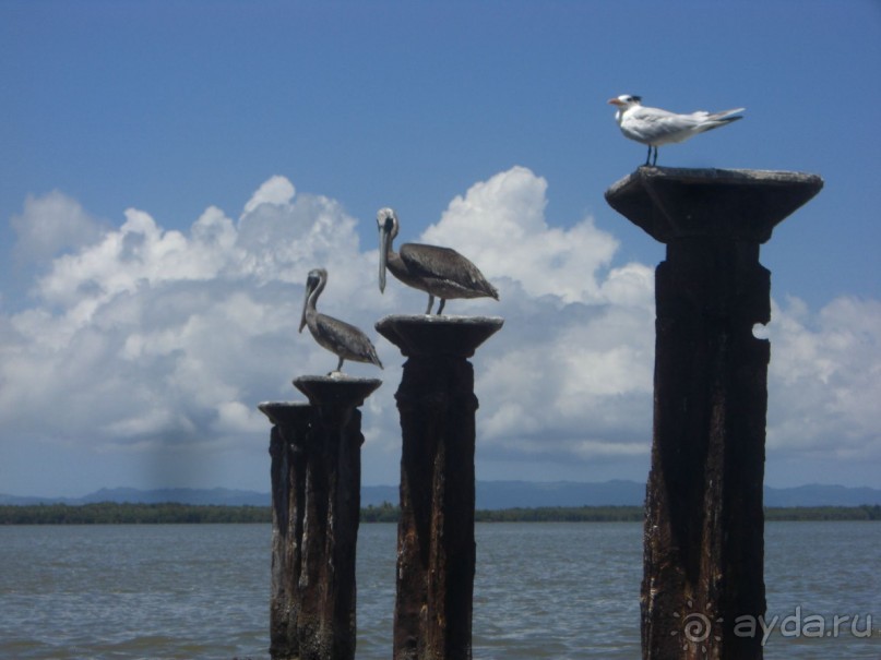  В первый раз в Доминикане