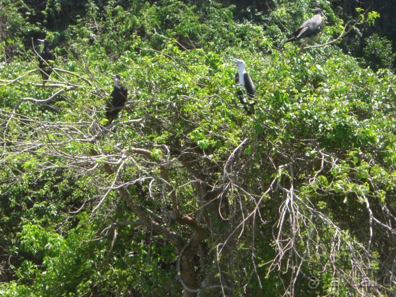  В первый раз в Доминикане