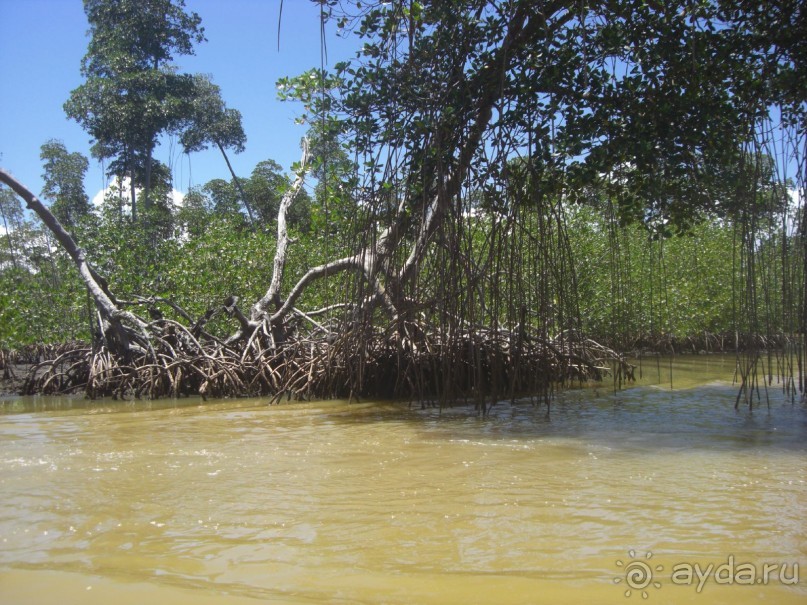  В первый раз в Доминикане