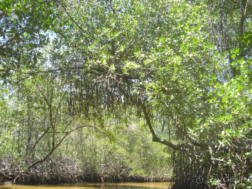  В первый раз в Доминикане