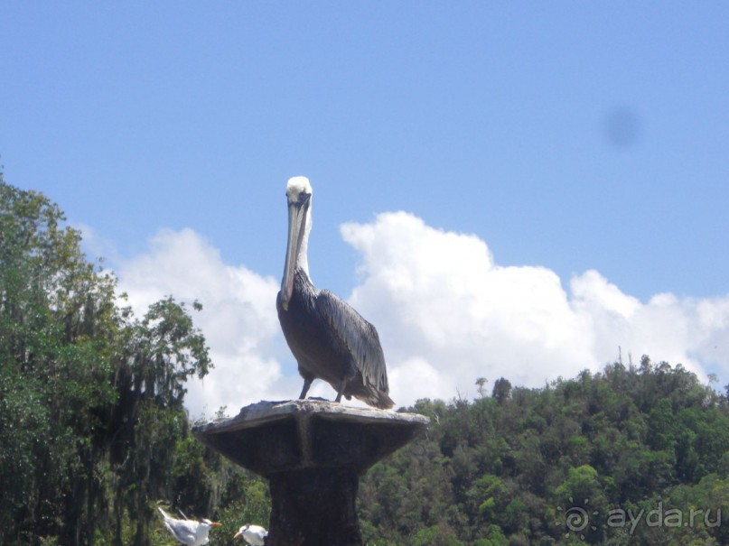  В первый раз в Доминикане