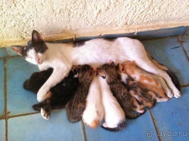  В первый раз в Доминикане