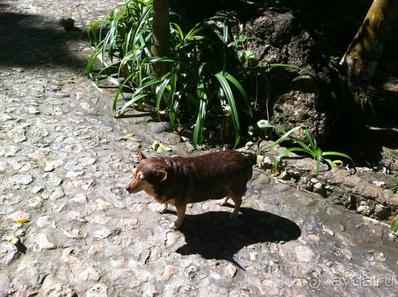  В первый раз в Доминикане