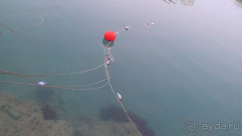 ОПАСНЫЙ ОТЕЛЬ!