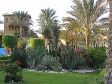 фото Jaz Makadina