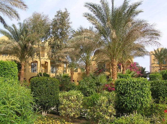 фото Jaz Makadina