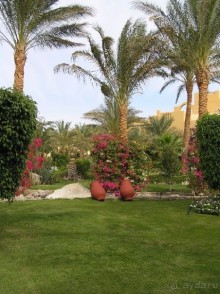 фото Jaz Makadina