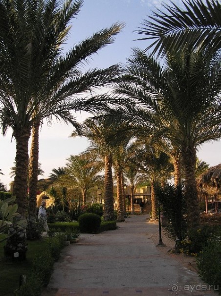 фото Jaz Makadina