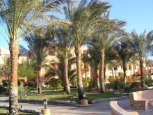 фото Jaz Makadi Oasis Resort