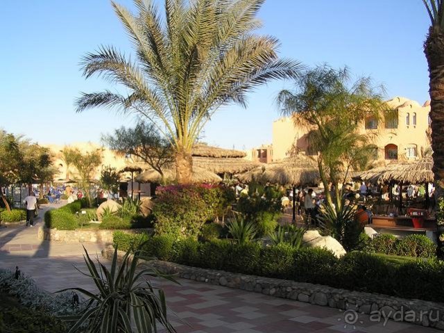 фото Jaz Makadi Oasis Resort