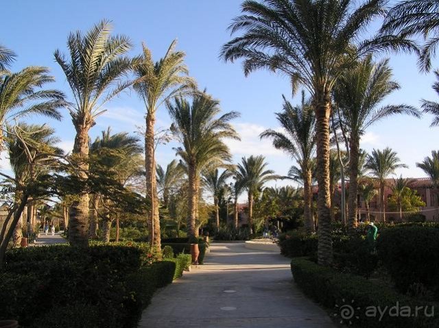 Iberotel Makadi Beach