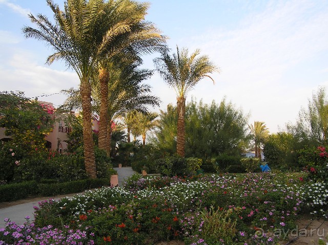 фото Iberotel Makadi Beach