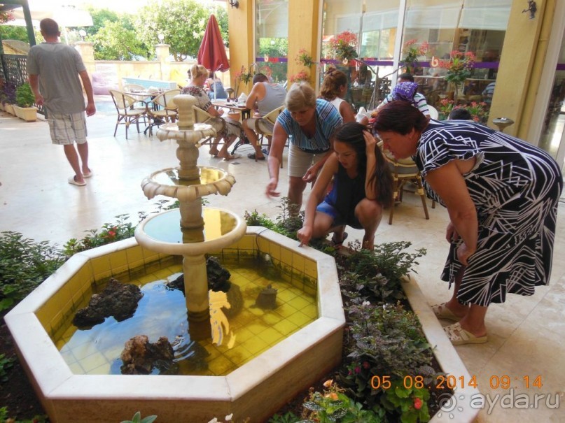 Бюджетный отдых в Турции 