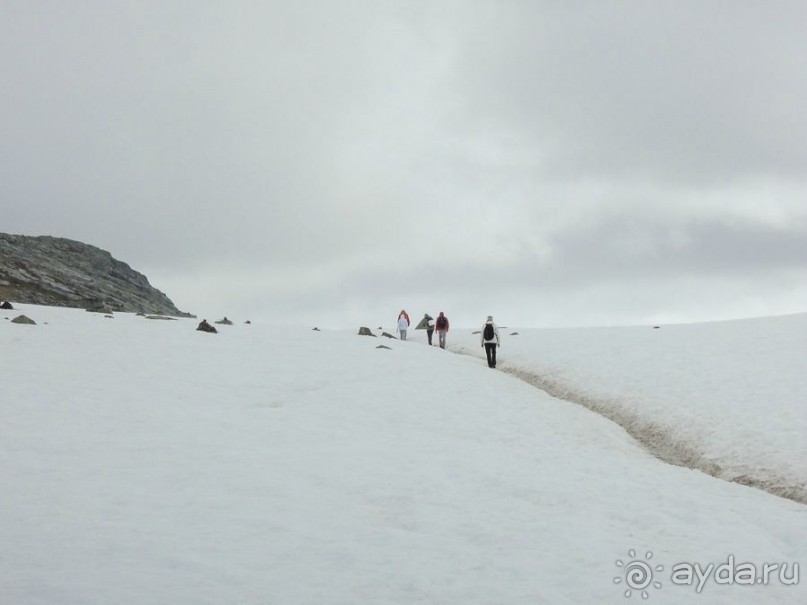 Путь к языку тролля