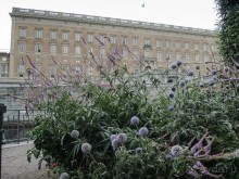 Стокгольм : королевский дворец