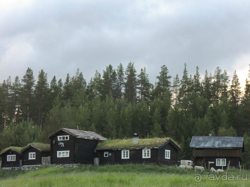 Норвежская ферма