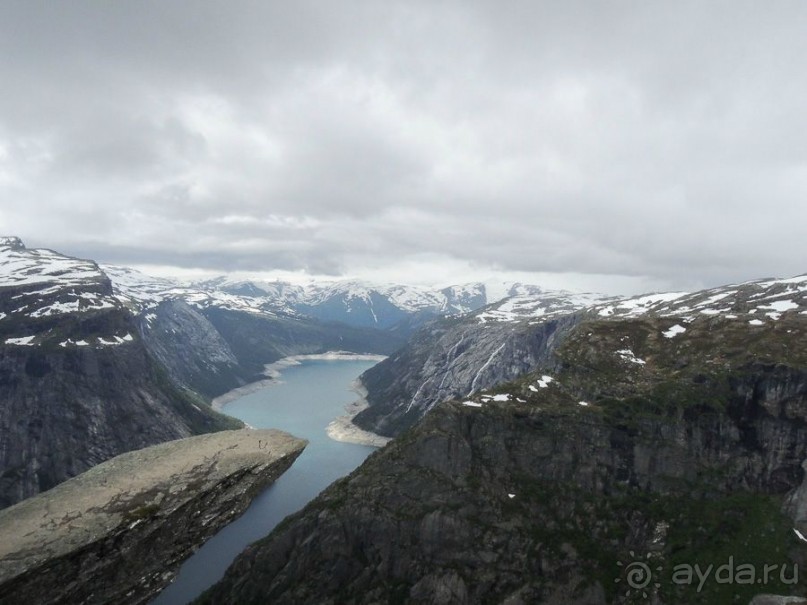 Сам язык ( без никто! )