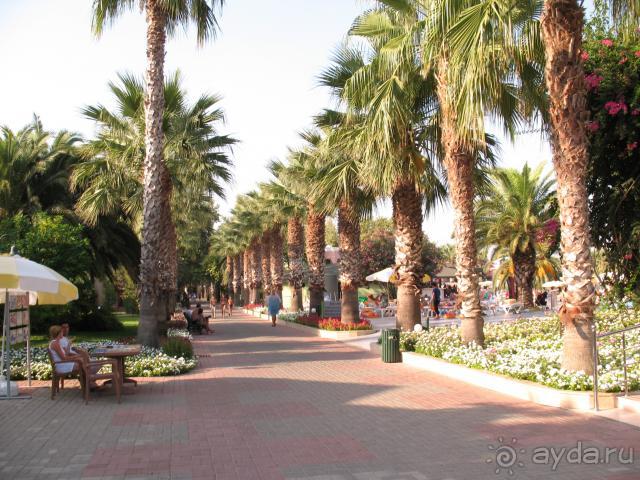 центральная аллея