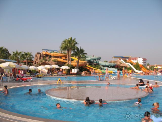 фото Солнечная поляна