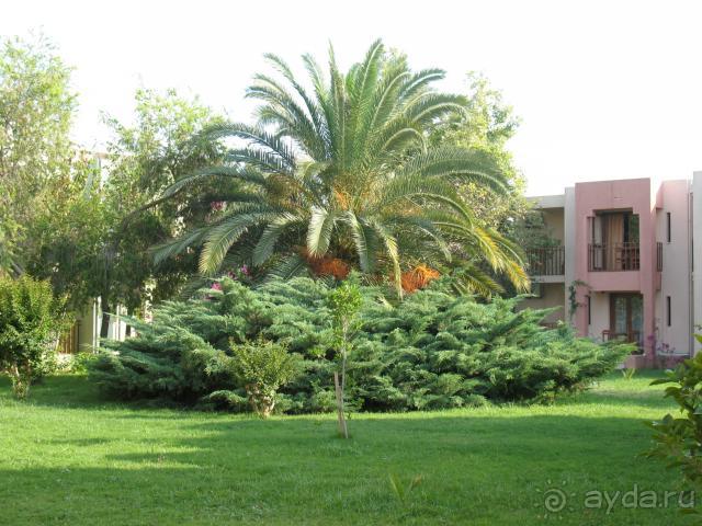 вид с веранды