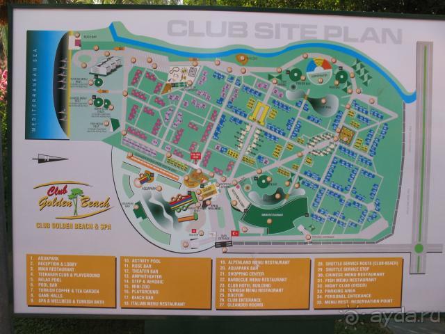 фото Солнечная поляна