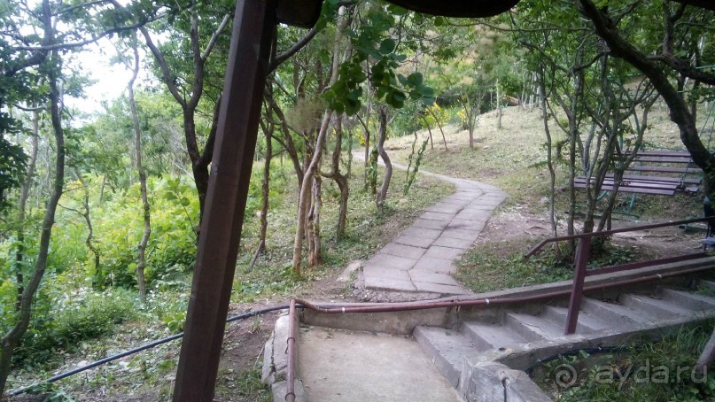 Мы молодожены 