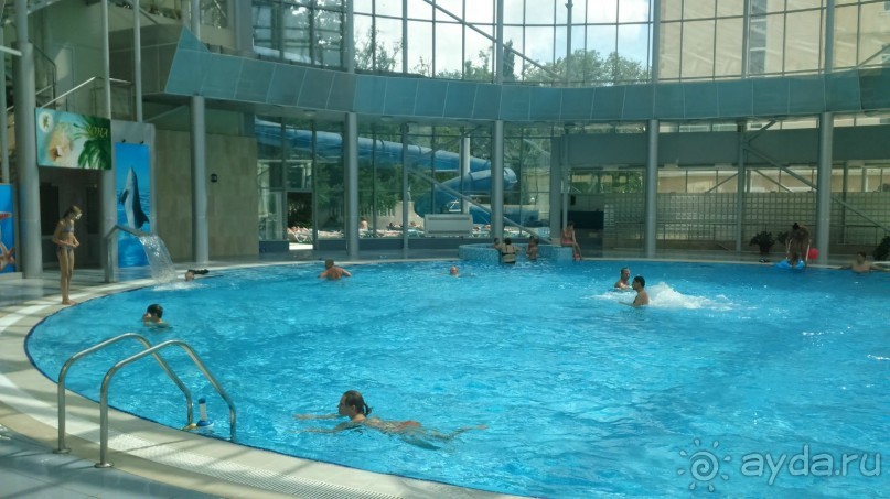 Мы молодожены 