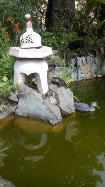 Мы молодожены 