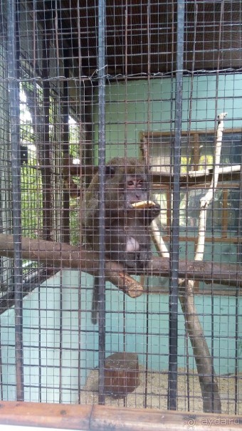 Мы молодожены 