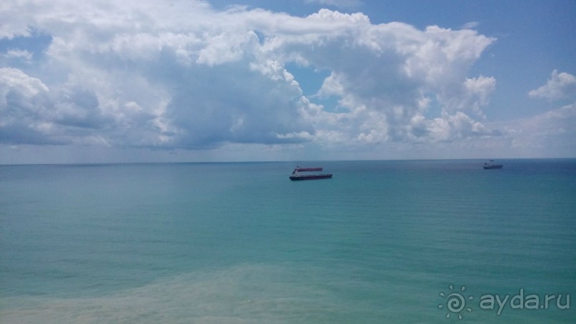 Мы молодожены 