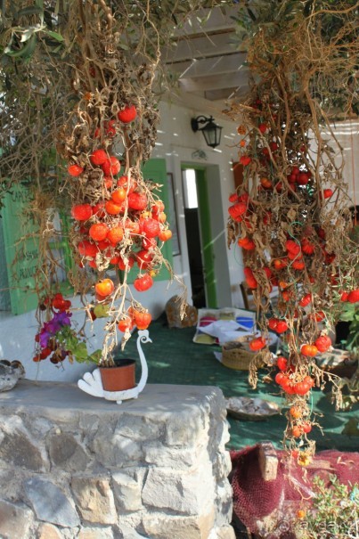 Волшебный Санторини